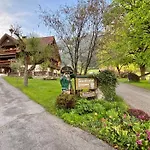 Bio-bauernhof Simonbauer * Ramsau am Dachstein