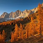 Bauernhof Bio-bauernhof Simonbauer *