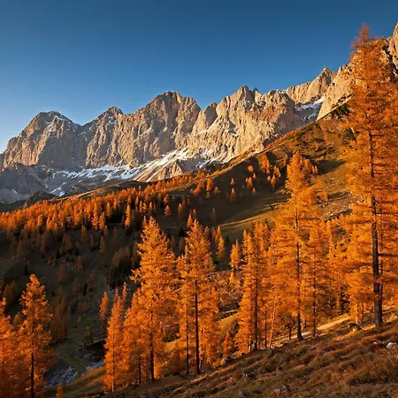 Vakantieboerderij Bio-bauernhof Simonbauer *