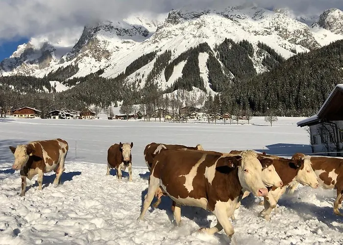 Bio-bauernhof Simonbauer Фермерський будинок *