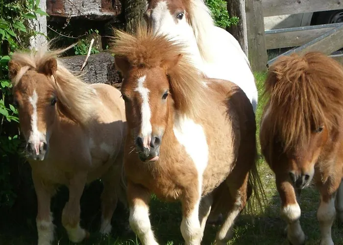 Фермерський будинок Bio-bauernhof Simonbauer