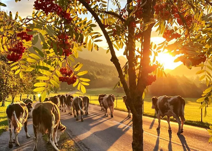 Фермерський будинок Bio-bauernhof Simonbauer *