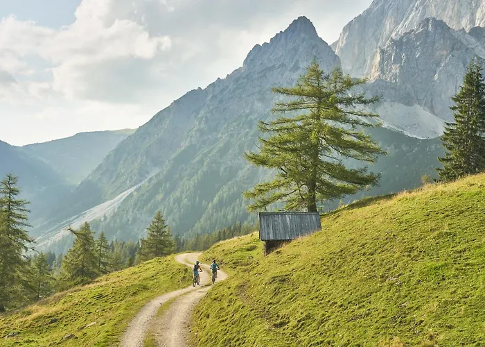 Bio-bauernhof Simonbauer * Ramsau am Dachstein