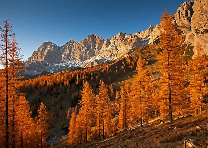 Farmház Bio-bauernhof Simonbauer *